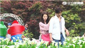 韓星宋智孝和陳柏霖陽明山上採海芋