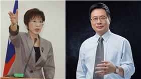 蔡正元、洪秀柱（圖／蔡正元、洪秀柱臉書）
