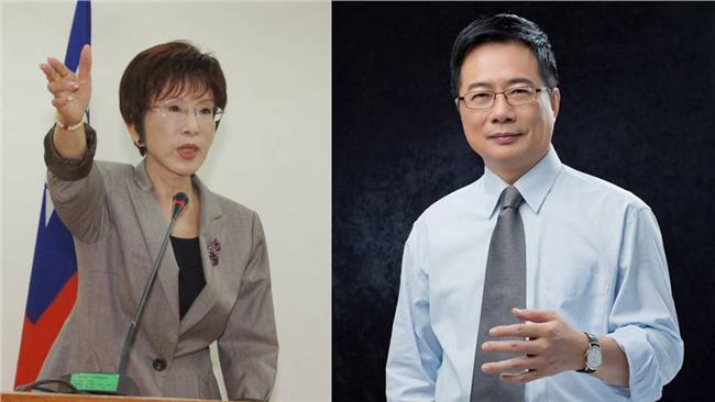 「我爭議也很大」洪秀柱替蔡正元緩頰