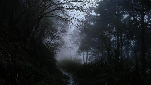 四人登山隊迷路　南投警消獲報馳援中