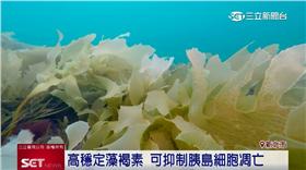 糖尿病患增加 WHO:11人就有1人