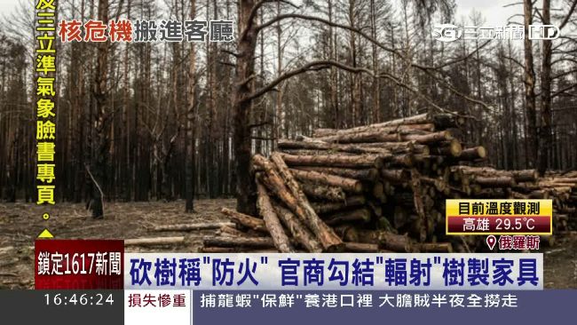 山老鼠潛核災區　車諾比輻射木變家具