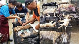 嘉義縣家畜所的流浪狗在車上被悶死／翻攝自花蓮等家的毛孩子臉書