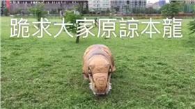 萬安恐龍哥道歉
翻攝自萬安恐龍哥臉書
https://www.facebook.com/465401643669859/videos/465439970332693/