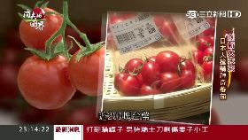 消失影音殼－敬姮）