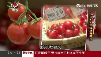 創新未來！「薄膜農法」種出神奇番茄