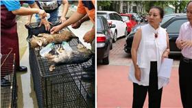 張花冠檢討流浪狗被熱死 （圖／翻攝自花蓮等家的毛孩子臉書、張花冠(小花)縣長臉書）