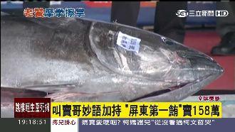 叫賣哥加持　屏東第一鮪158萬拍出
