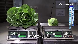 探／薪水凍物價漲　餐費月增千元真相