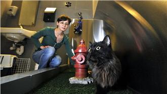 超貼心！紐約機場推「寵物專用廁所」