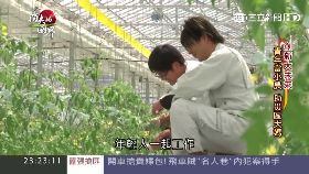 消失影音殼-亭秀）