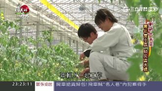 311海嘯災區復甦　年輕人重建家園