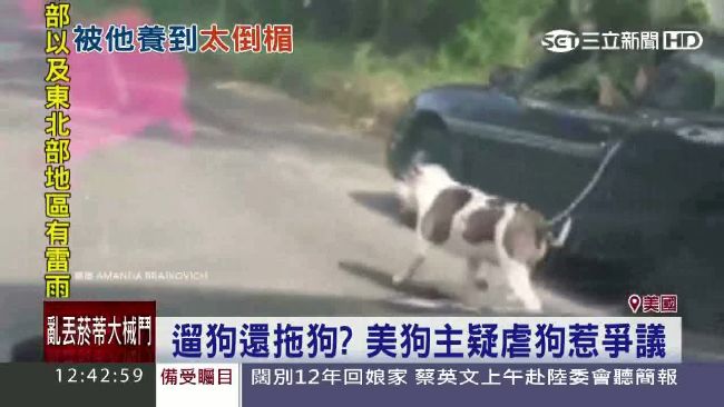 飼主「駕車遛狗」　虐狗行徑引爭議