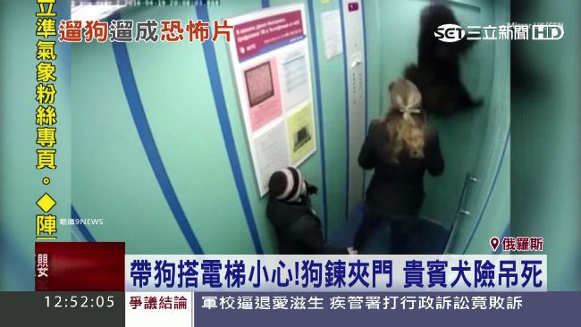 帶狗搭電梯小心！狗鍊夾門險遭吊死