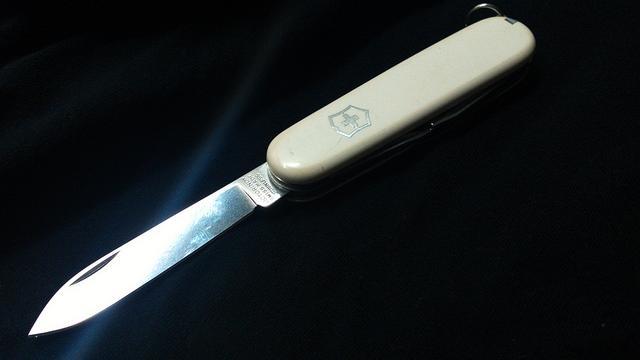 性侵女兒10餘年　日本繼父殺嬰棄屍