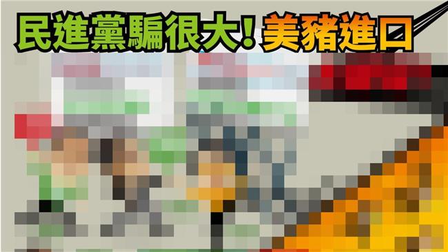 談美豬進口　國民黨用精美圖片吐心聲