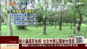 螢火蟲商機1200 必