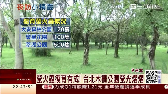 賞螢筆正夯！都市裡也能發現夜精靈