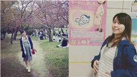 彎彎,賞櫻,懷孕▲合成圖／翻攝自彎彎Twitter