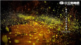 妖怪村推出螢火蟲愛情劇場。（圖／妖怪村提供）