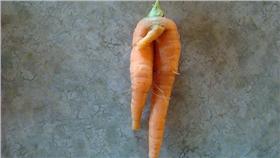 生殖器,陰莖,小弟弟▲示意圖／攝影者Gary Koelling, flickr CC License-https://www.flickr.com/photos/garykoelling/2805329281/