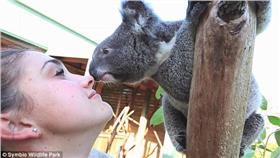 ▲無尾熊遇上正妹飼養員。（圖／翻攝自《每日郵報》網站）
http://www.dailymail.co.uk/news/article-3560569/Harry-koala-shares-tender-Eskimo-kiss-zoo-keeper-Tami-Wilson.html
