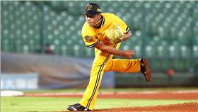 ▲王則鈞（圖／翻攝自中信兄弟官網）