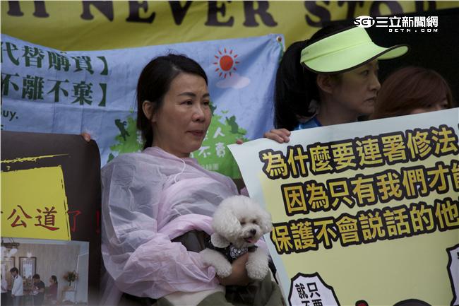 430為毛孩連署全國動保活動▲（圖／記者林顥宗攝影）