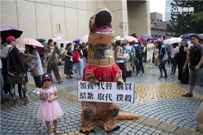 430為毛孩連署全國動保活動▲（圖／記者林顥宗攝影）