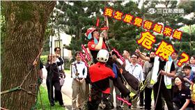 柯文哲/爬樹/三立新聞網後製