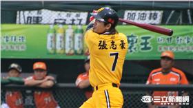 ▲中信兄弟張志豪（圖／記者王怡翔攝）