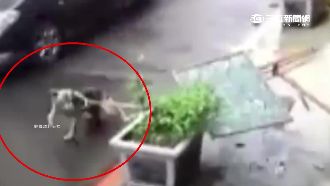 狗拴店家移動式看板　疑受驚暴衝撞車