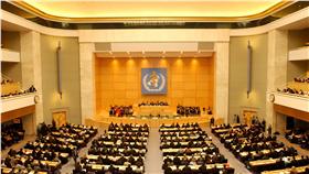 第57屆世界衛生大會（World Health Assembly）（資料照／who.int提供）
