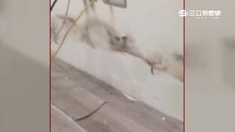 租屋有白蟻又滲水　房客退房慘遭嗆