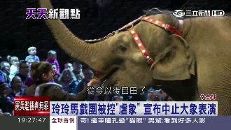 不用再表演！馬戲團宣布中止大象表演