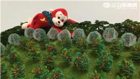 台東猴害嚴重！果農祭出鐵布衫、金鐘罩