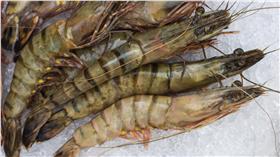 蝦仁,死蝦,蝦子▲圖／達志影像