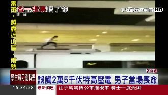 只為千元車票！　男爬高鐵車頂遭電死