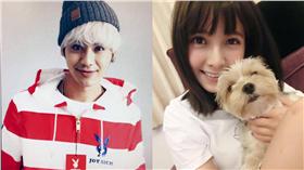 大元,鼓鼓,臉書