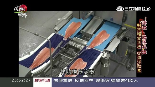 挪威鮭魚產業世界第一　卻藏老化危機