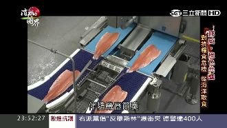 挪威鮭魚產業世界第一　卻藏老化危機