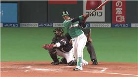 陽岱鋼全壘打（圖／取自太平洋聯盟TV）