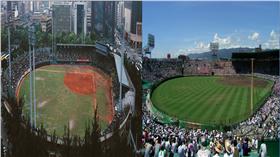 ▲台北市立棒球場和阪神甲子園球場（組圖／翻攝自中華職棒官網＆維基百科）