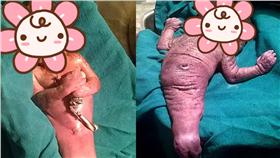 美人魚寶寶／dailymail