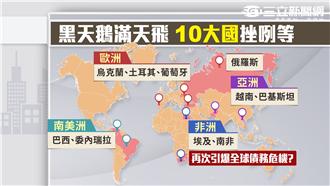 急挫後強彈可期　台股短線現生機？！