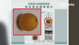 柳丁看成球1800.