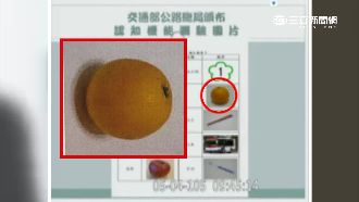 認知測驗霧煞煞　交部次長柳丁看成球