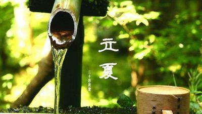 立夏「養心」　吃什麼食物才最好？