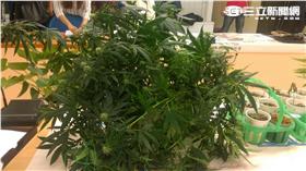 警方破獲以杜女為首的販毒集團（楊忠翰攝）