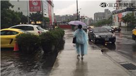 大雨、豪雨/張雅筑攝